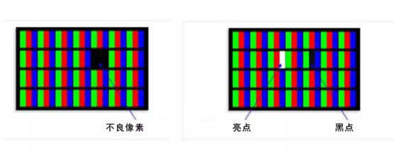 ʲô正能量网站www正能量免费Ĳأ