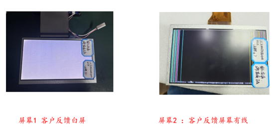 7正能量网站www正能量免费